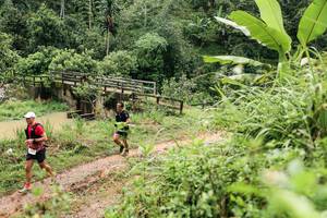 BIB: 
                            <button type="button" onclick="openModal(26376073)" class="btn btn-primary btn-sm float-right btn-popup" data-toggle="modal" data-target=".modal-high-quality">
                        <i class="fas fa-shopping-cart"></i> Add to Cart
                    </button>
                                            <button type="button" onclick="isThisMe(26376073, true)" class="btn btn-success btn-sm float-right btn-popup btn-isme hidden" data-toggle="tooltip" data-placement="bottom" title="นี่คือรูปของคุณใช่ไหม คลิกที่นี่เพื่อเอาเข้าอัลบั้ม">
                        <i class="fas fa-plus"></i> Add to album
                    </button>
                    <button type="button" onclick="isThisMe(26376073, false)" class="btn btn-warning btn-sm float-right btn-popup btn-isnotme hidden">
                        <i class="fas fa-ban"></i> Remove from album
                    </button>